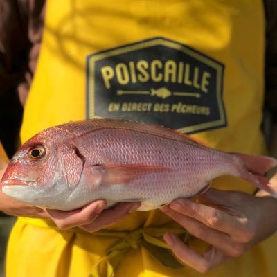 Poiscaille, le circuit-court de la mer : faites-vous livrer chez Ma Terre !