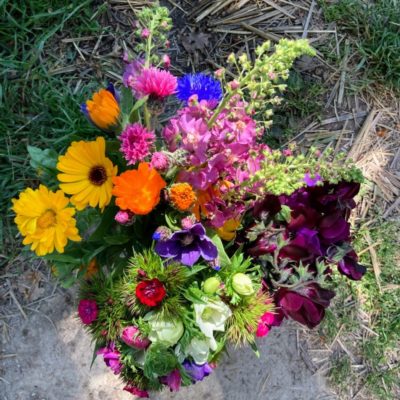 Fête des mères fleurie, oui ! Avec des fleurs bio de Lourmarin