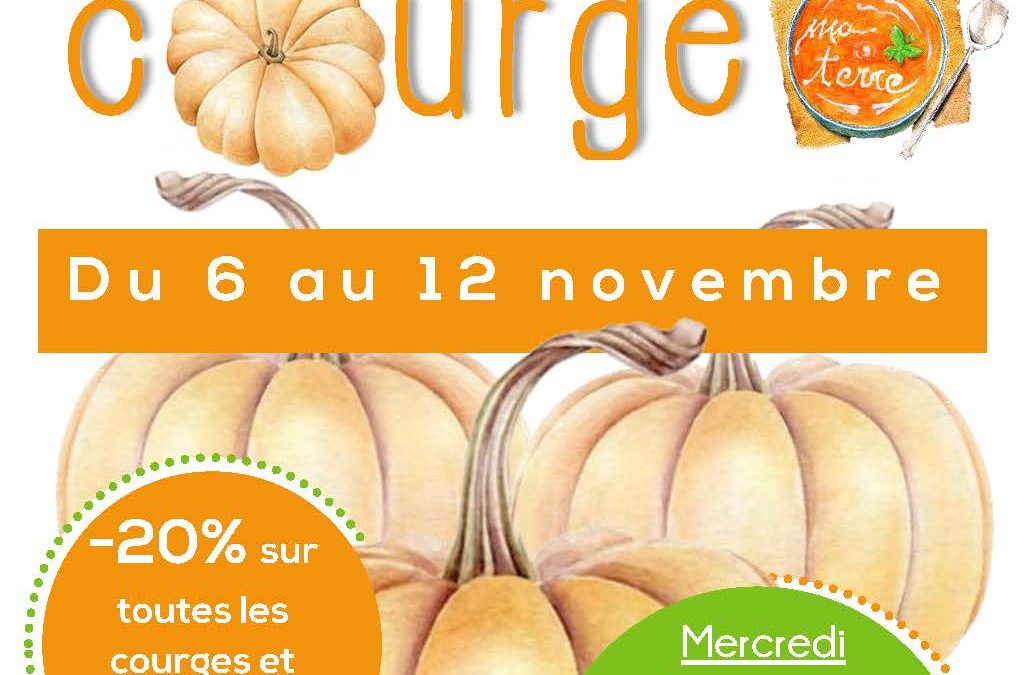 Fête de la courge : Ma Terre vous invite !