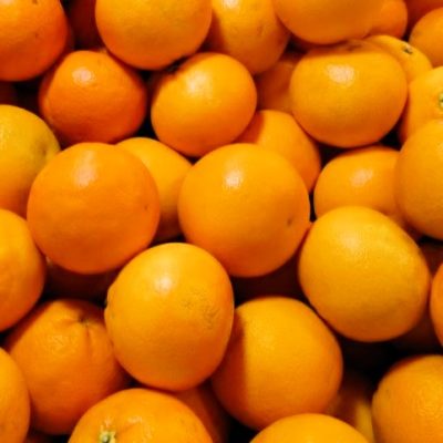 C’est la saison des oranges de Corse !