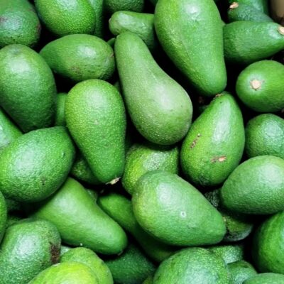 Abondance d’avocats : les voies alternatives de Ma Terre